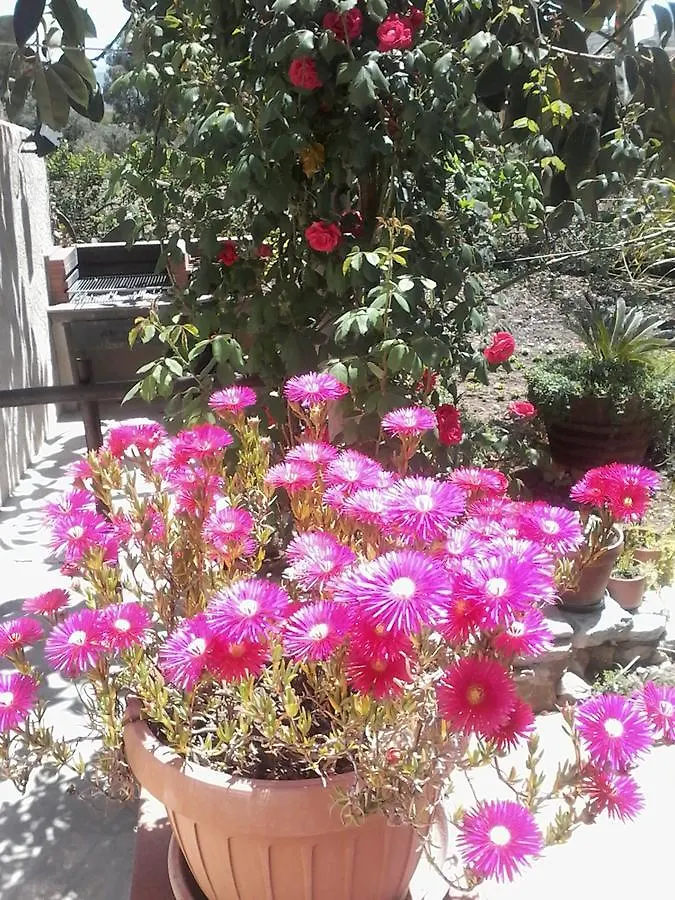 La Ninfea Bed and Breakfast Valderice